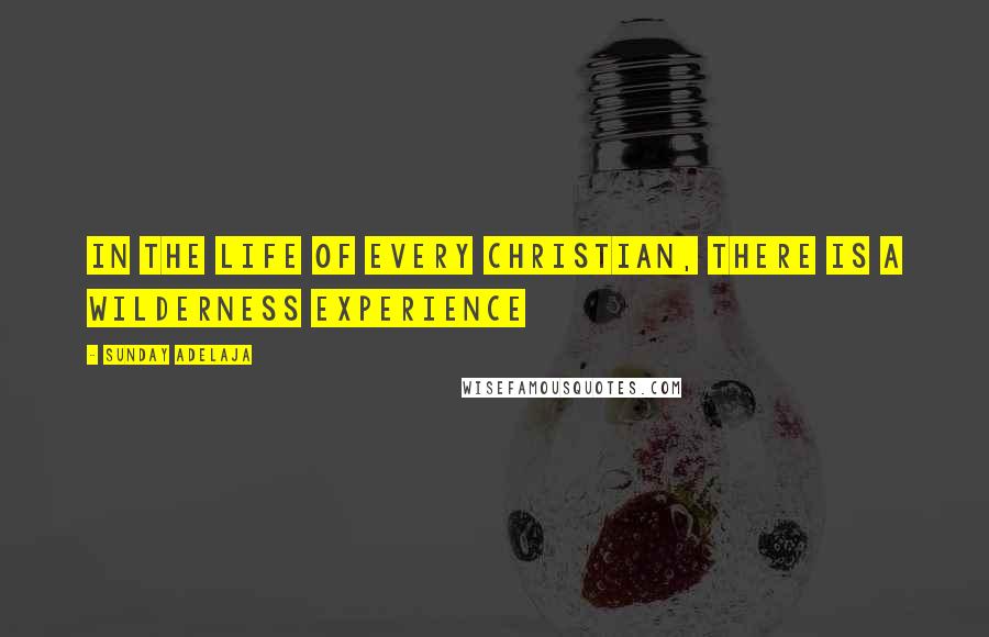 Sunday Adelaja Quotes: In the life of every Christian, there is a wilderness experience