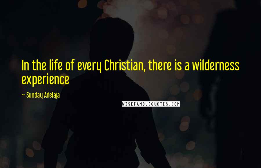 Sunday Adelaja Quotes: In the life of every Christian, there is a wilderness experience