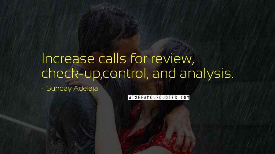 Sunday Adelaja Quotes: Increase calls for review, check-up,control, and analysis.