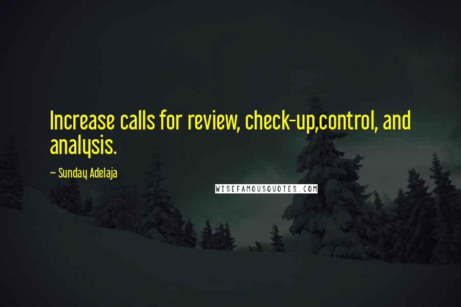 Sunday Adelaja Quotes: Increase calls for review, check-up,control, and analysis.