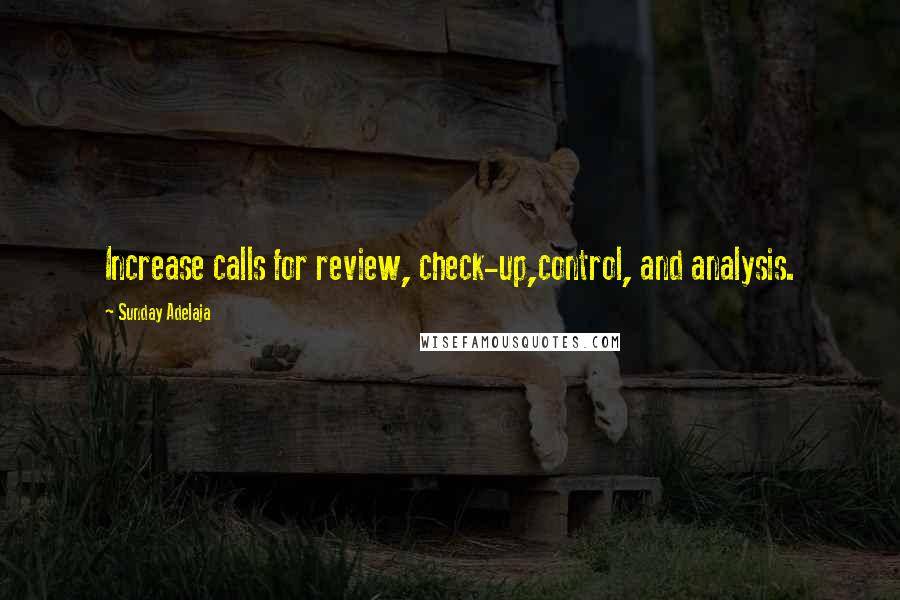 Sunday Adelaja Quotes: Increase calls for review, check-up,control, and analysis.