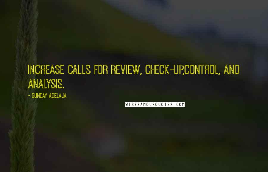 Sunday Adelaja Quotes: Increase calls for review, check-up,control, and analysis.