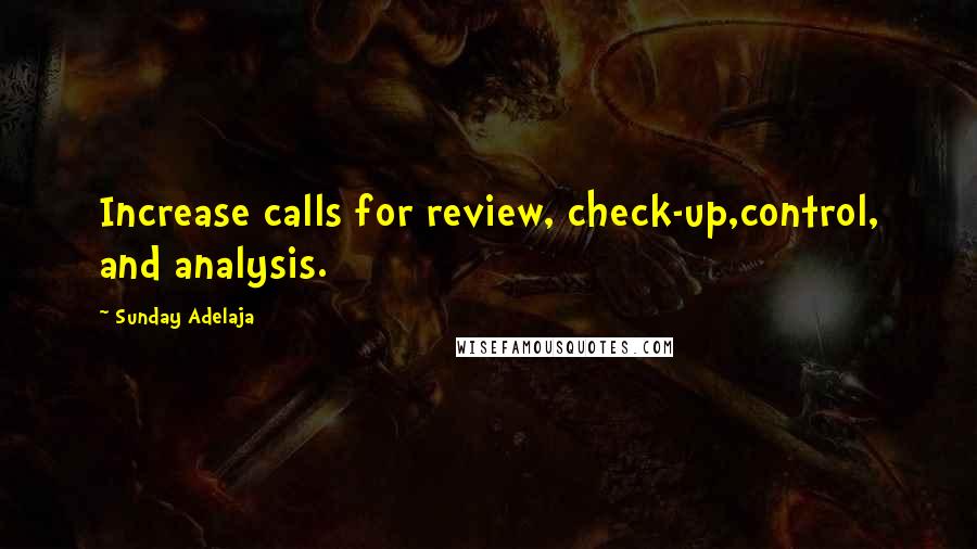 Sunday Adelaja Quotes: Increase calls for review, check-up,control, and analysis.