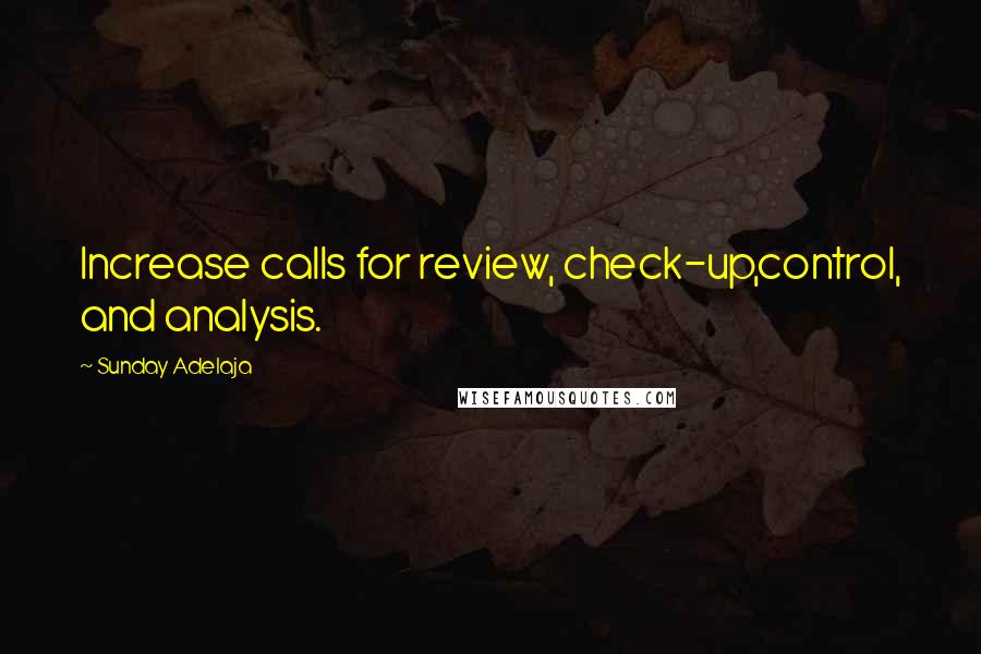 Sunday Adelaja Quotes: Increase calls for review, check-up,control, and analysis.