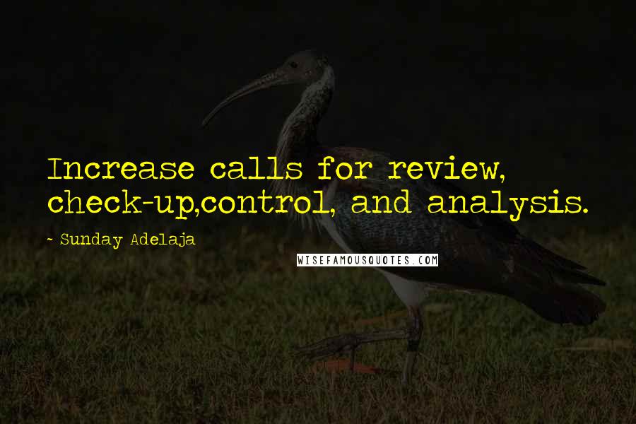 Sunday Adelaja Quotes: Increase calls for review, check-up,control, and analysis.