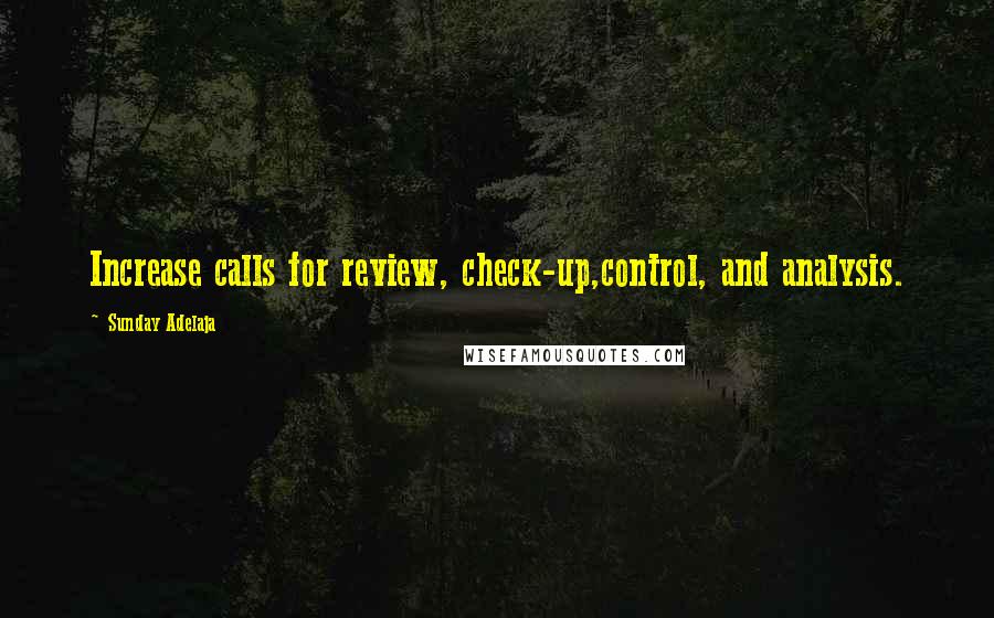 Sunday Adelaja Quotes: Increase calls for review, check-up,control, and analysis.