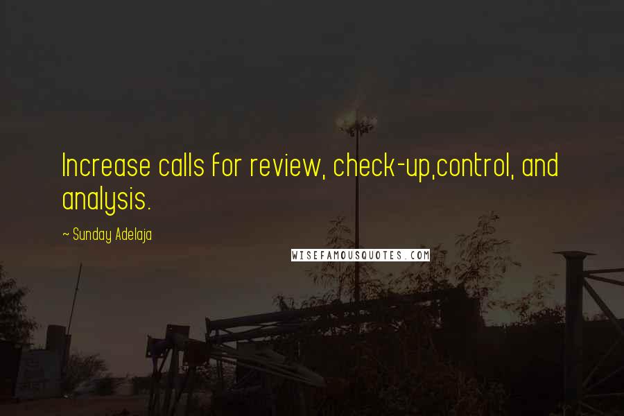 Sunday Adelaja Quotes: Increase calls for review, check-up,control, and analysis.