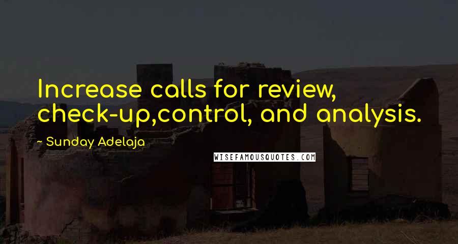 Sunday Adelaja Quotes: Increase calls for review, check-up,control, and analysis.