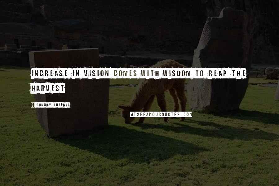 Sunday Adelaja Quotes: Increase in vision comes with wisdom to reap the harvest