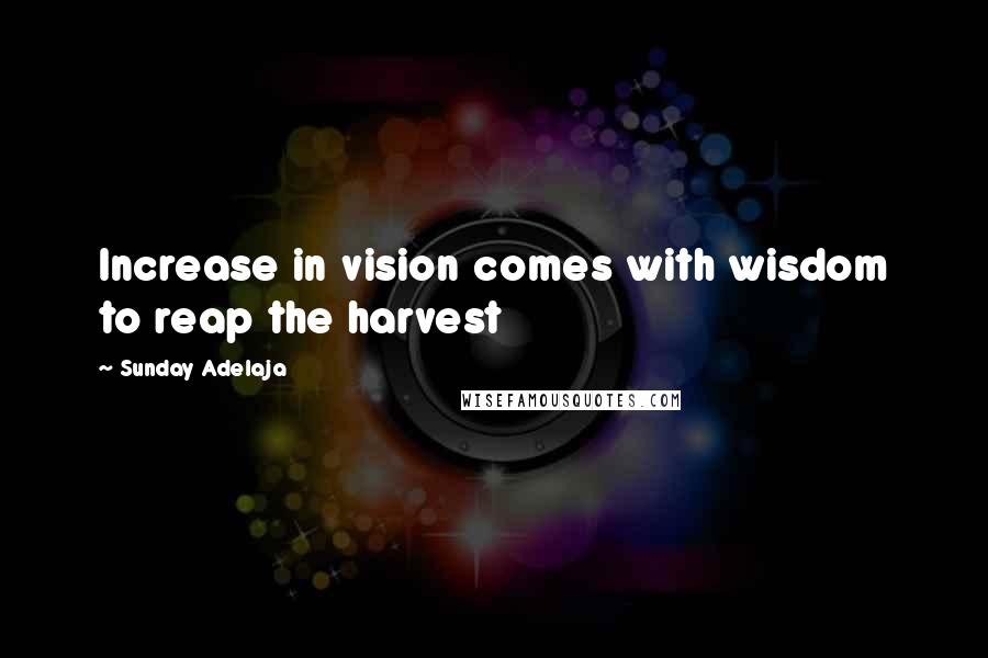 Sunday Adelaja Quotes: Increase in vision comes with wisdom to reap the harvest