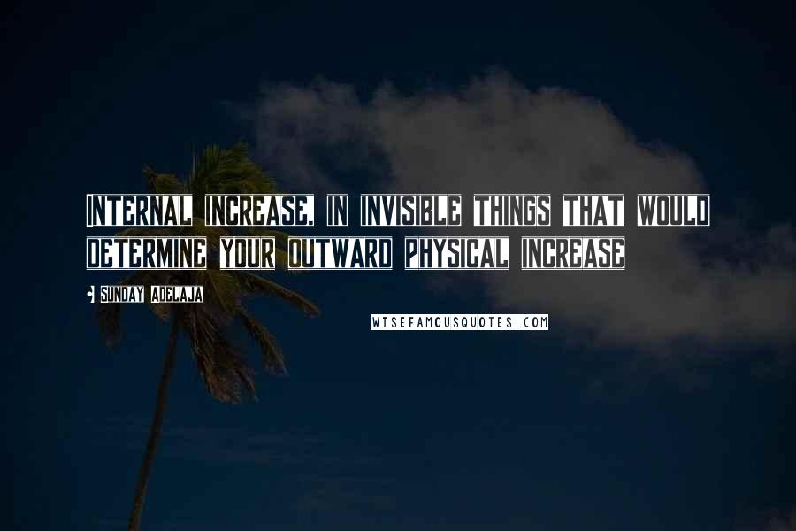Sunday Adelaja Quotes: Internal increase, in invisible things that would determine your outward physical increase