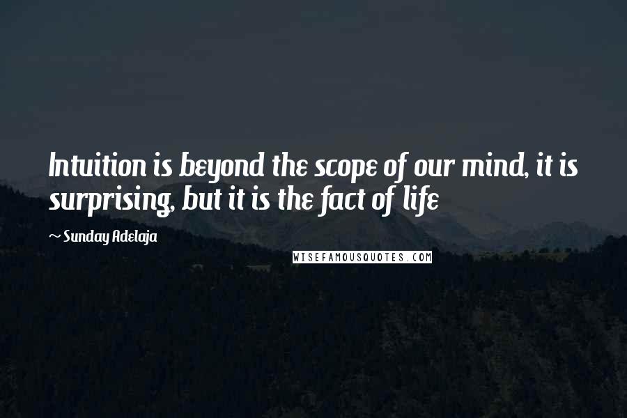 Sunday Adelaja Quotes: Intuition is beyond the scope of our mind, it is surprising, but it is the fact of life