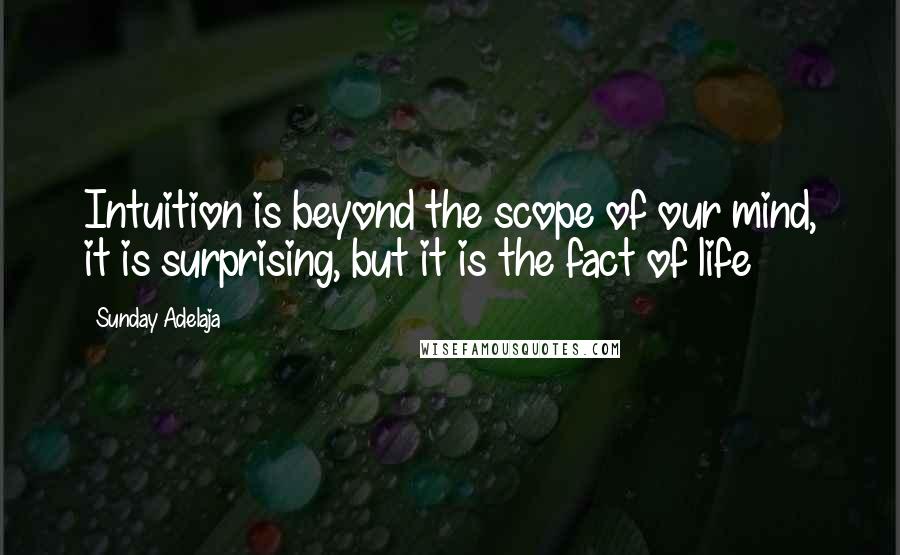 Sunday Adelaja Quotes: Intuition is beyond the scope of our mind, it is surprising, but it is the fact of life