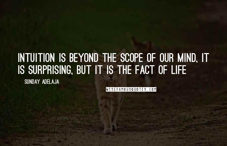 Sunday Adelaja Quotes: Intuition is beyond the scope of our mind, it is surprising, but it is the fact of life