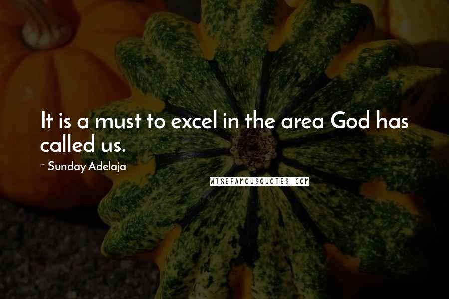 Sunday Adelaja Quotes: It is a must to excel in the area God has called us.