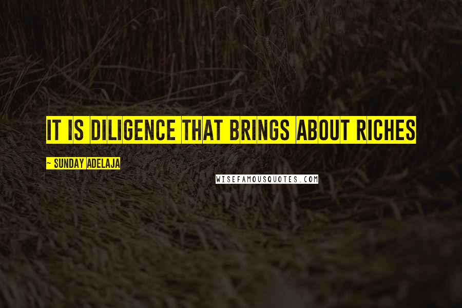Sunday Adelaja Quotes: It is diligence that brings about riches