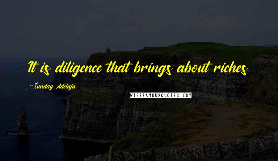 Sunday Adelaja Quotes: It is diligence that brings about riches