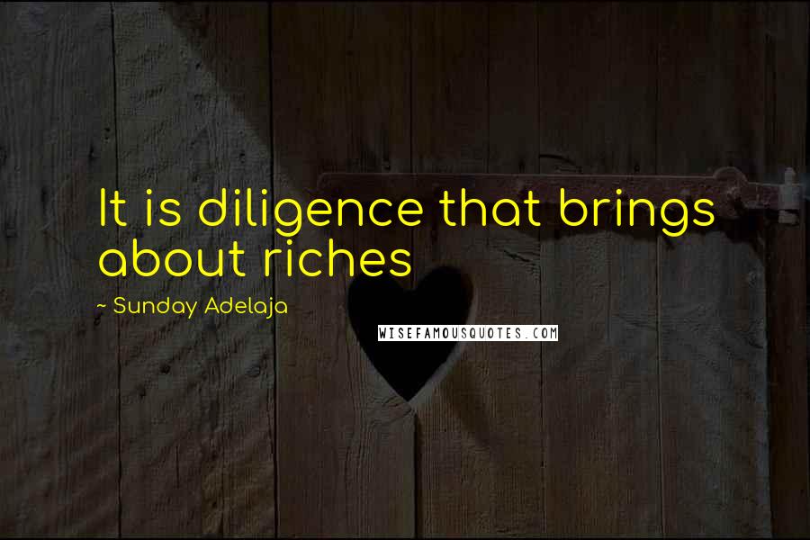 Sunday Adelaja Quotes: It is diligence that brings about riches