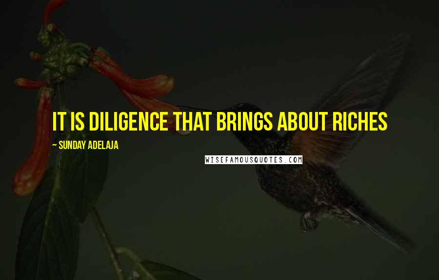 Sunday Adelaja Quotes: It is diligence that brings about riches