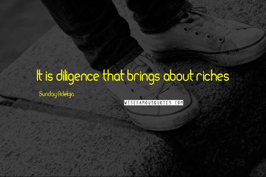 Sunday Adelaja Quotes: It is diligence that brings about riches
