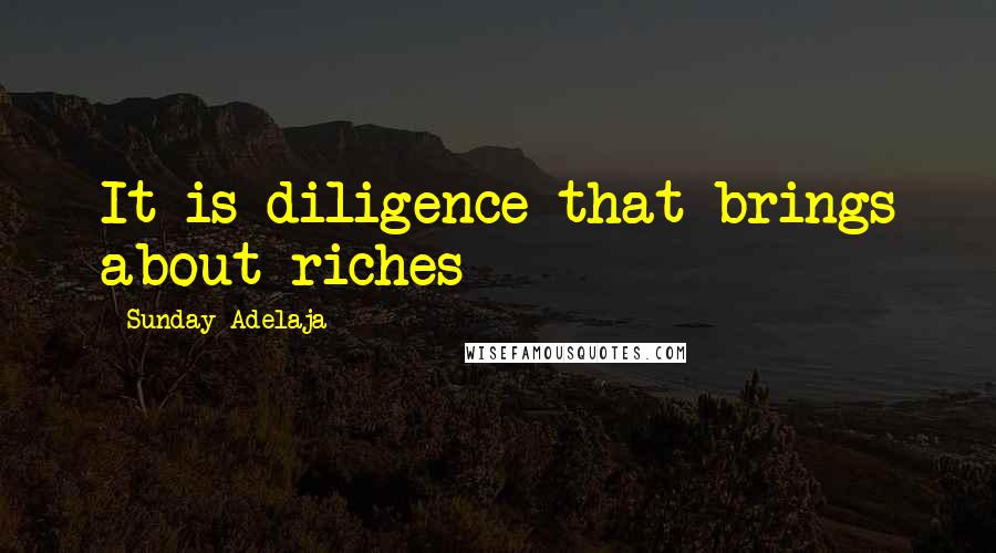 Sunday Adelaja Quotes: It is diligence that brings about riches