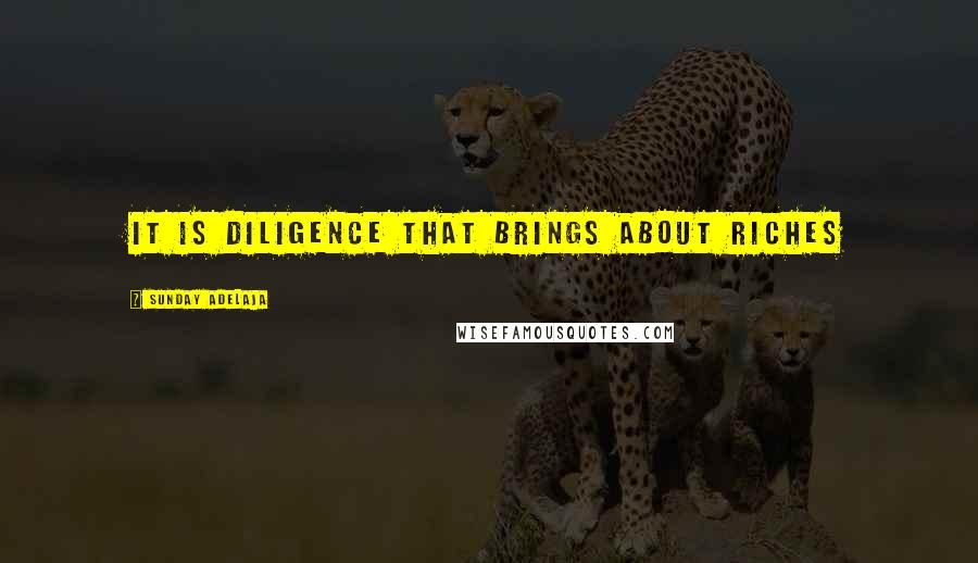 Sunday Adelaja Quotes: It is diligence that brings about riches