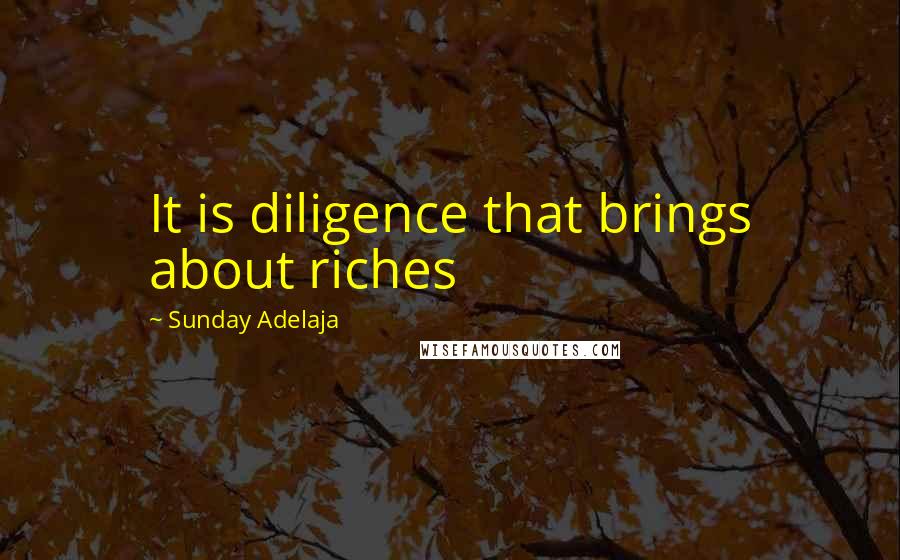 Sunday Adelaja Quotes: It is diligence that brings about riches