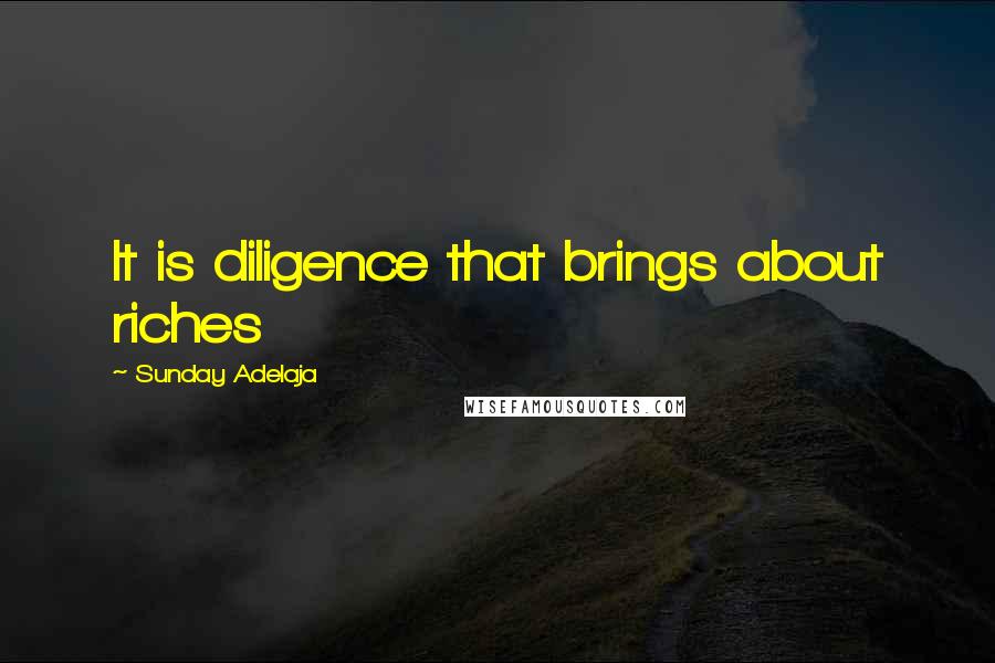 Sunday Adelaja Quotes: It is diligence that brings about riches