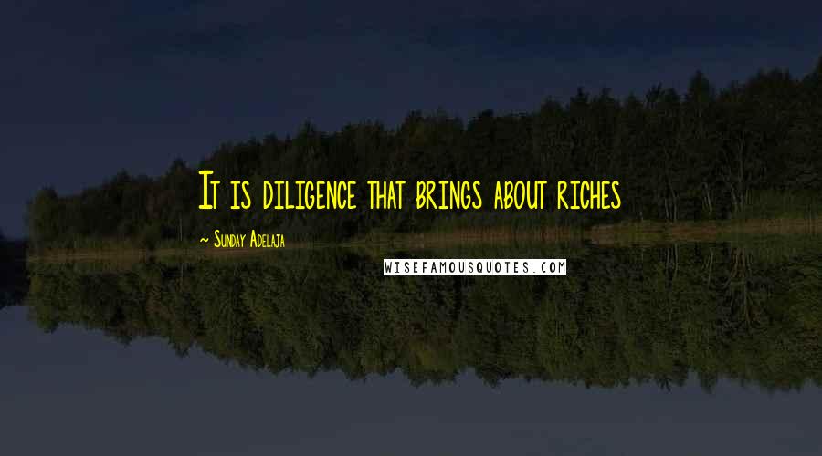 Sunday Adelaja Quotes: It is diligence that brings about riches