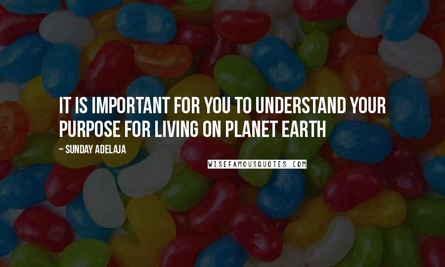 Sunday Adelaja Quotes: It is important for you to understand your purpose for living on planet earth