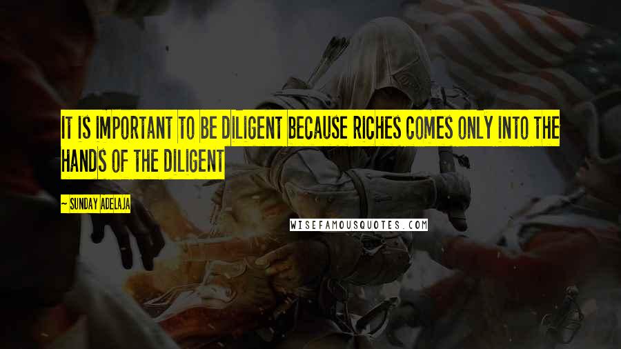 Sunday Adelaja Quotes: It is important to be diligent because riches comes only into the hands of the diligent
