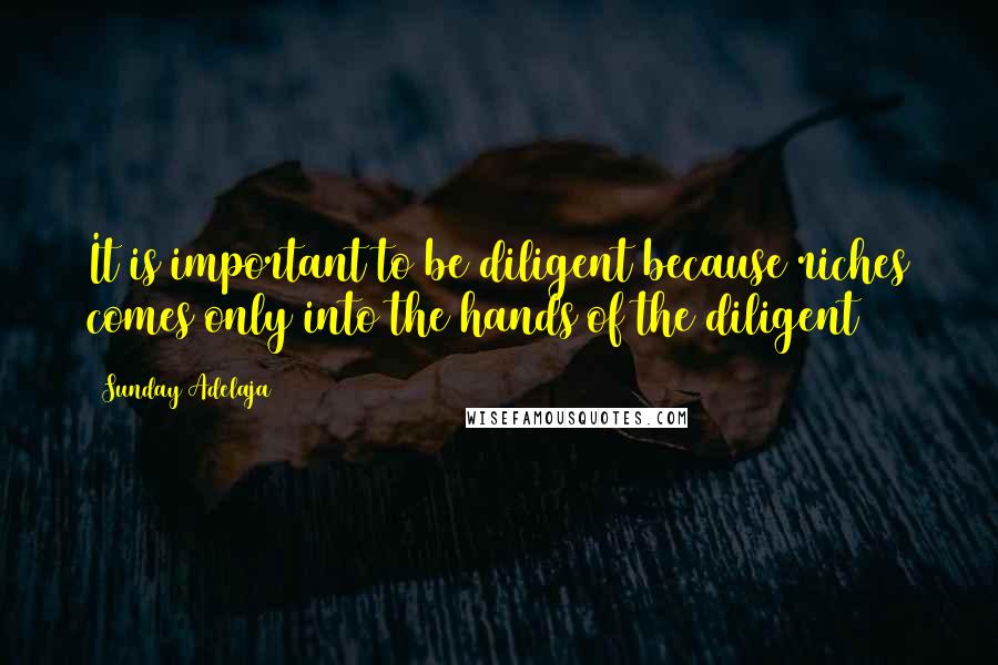 Sunday Adelaja Quotes: It is important to be diligent because riches comes only into the hands of the diligent