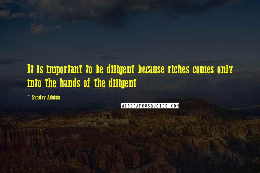 Sunday Adelaja Quotes: It is important to be diligent because riches comes only into the hands of the diligent