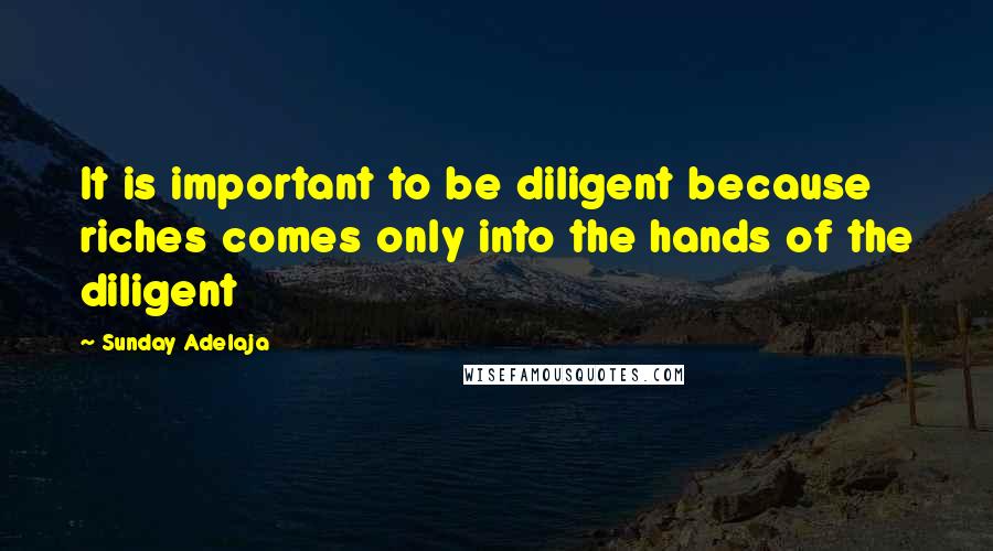 Sunday Adelaja Quotes: It is important to be diligent because riches comes only into the hands of the diligent