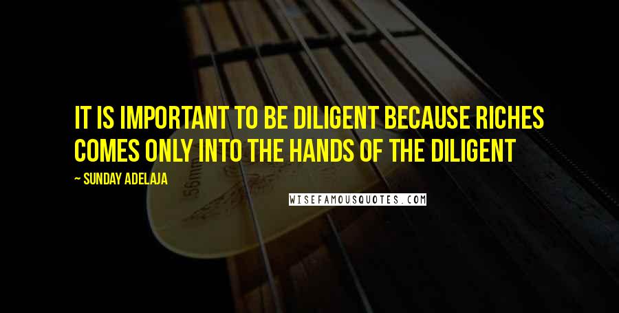 Sunday Adelaja Quotes: It is important to be diligent because riches comes only into the hands of the diligent