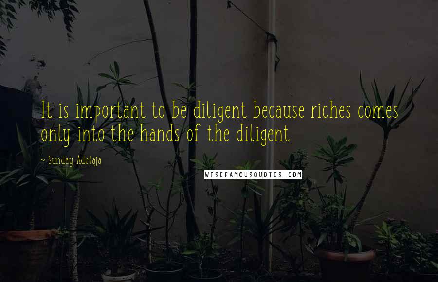 Sunday Adelaja Quotes: It is important to be diligent because riches comes only into the hands of the diligent