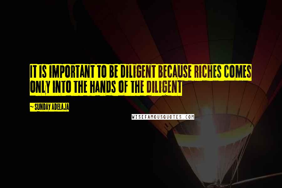 Sunday Adelaja Quotes: It is important to be diligent because riches comes only into the hands of the diligent