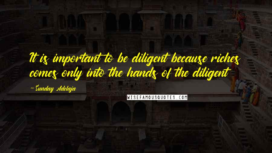 Sunday Adelaja Quotes: It is important to be diligent because riches comes only into the hands of the diligent