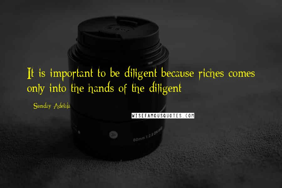 Sunday Adelaja Quotes: It is important to be diligent because riches comes only into the hands of the diligent