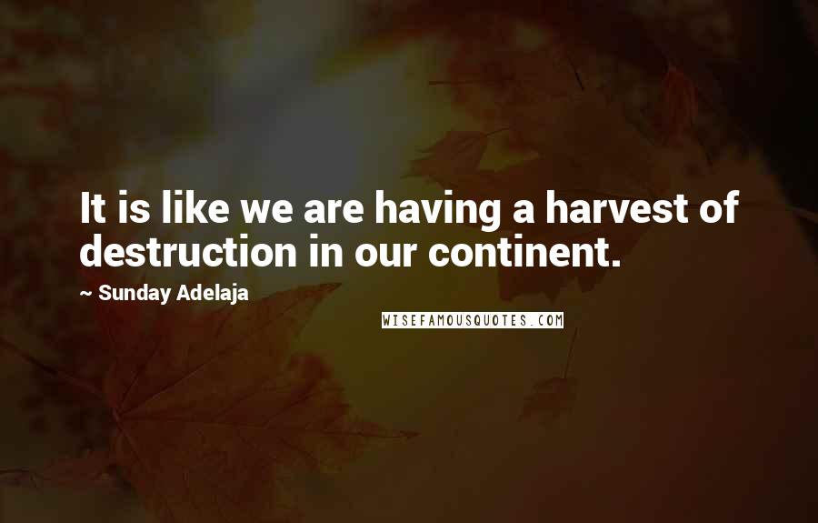 Sunday Adelaja Quotes: It is like we are having a harvest of destruction in our continent.