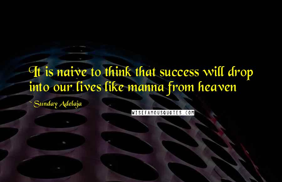 Sunday Adelaja Quotes: It is naive to think that success will drop into our lives like manna from heaven