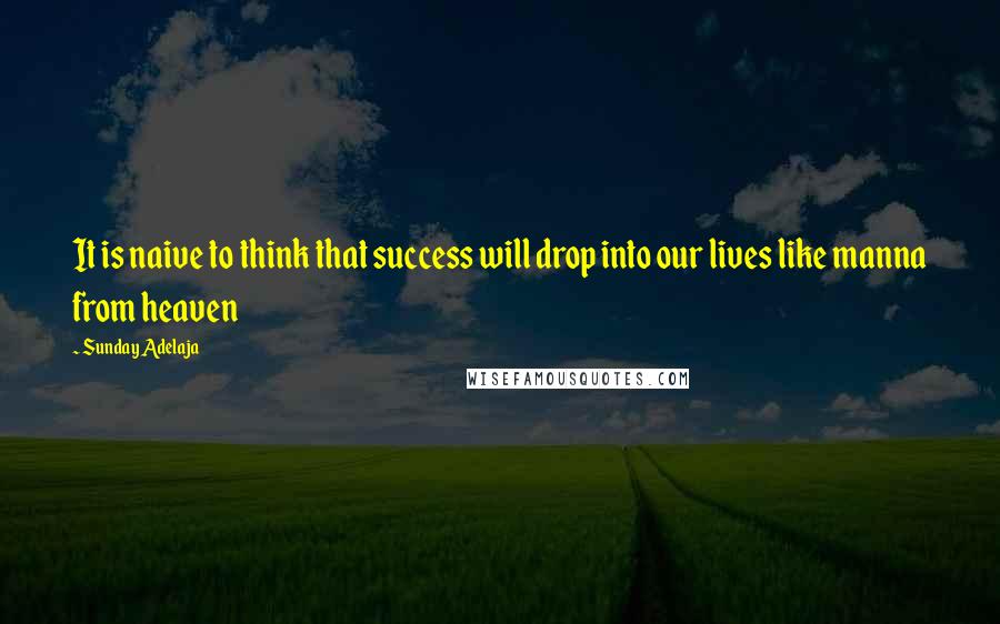 Sunday Adelaja Quotes: It is naive to think that success will drop into our lives like manna from heaven