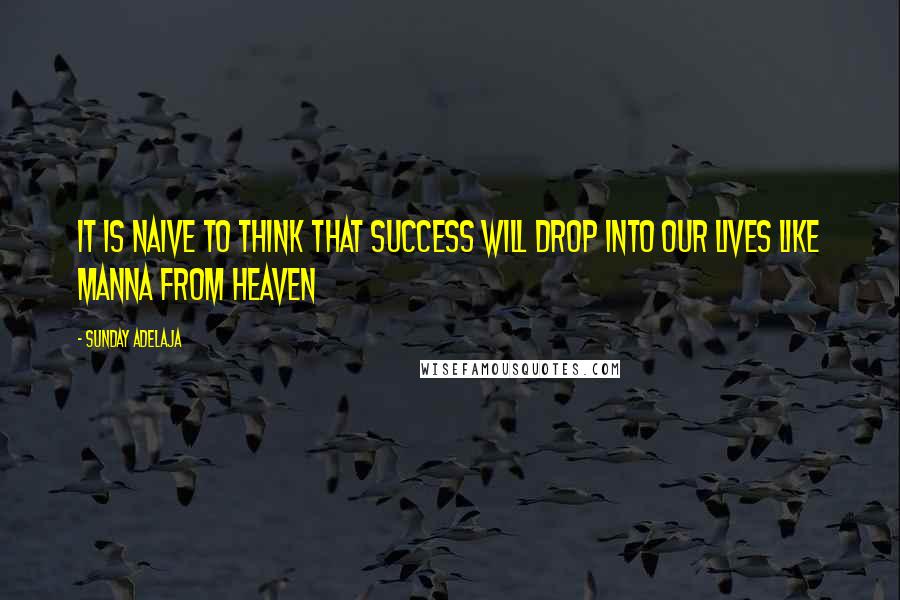 Sunday Adelaja Quotes: It is naive to think that success will drop into our lives like manna from heaven