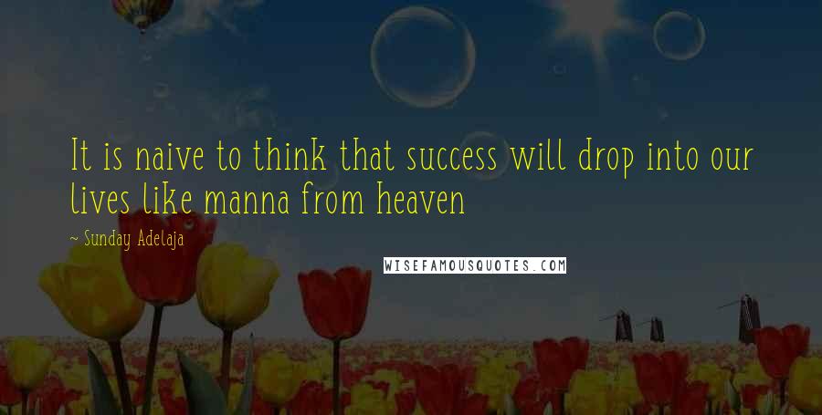 Sunday Adelaja Quotes: It is naive to think that success will drop into our lives like manna from heaven