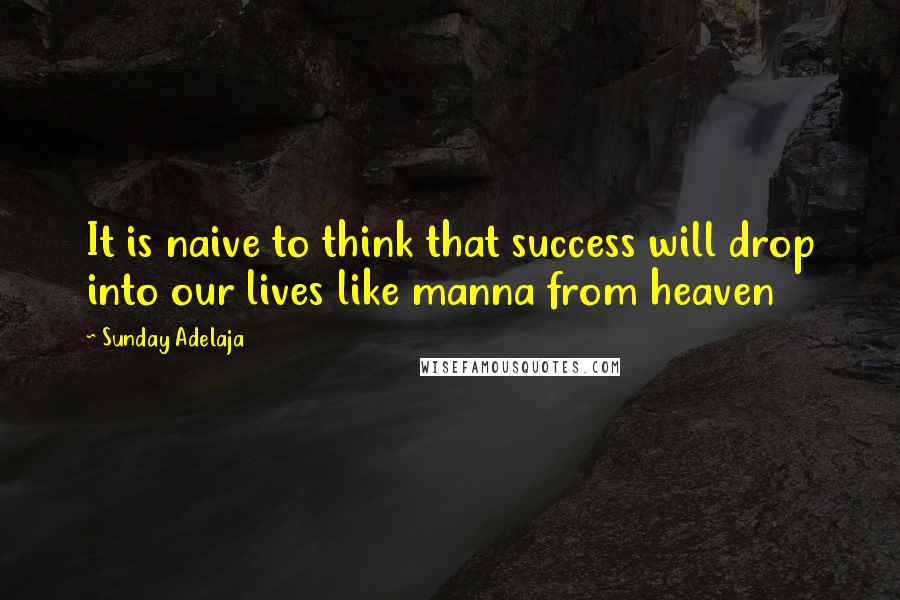 Sunday Adelaja Quotes: It is naive to think that success will drop into our lives like manna from heaven