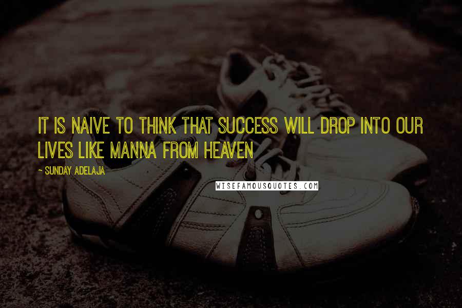 Sunday Adelaja Quotes: It is naive to think that success will drop into our lives like manna from heaven