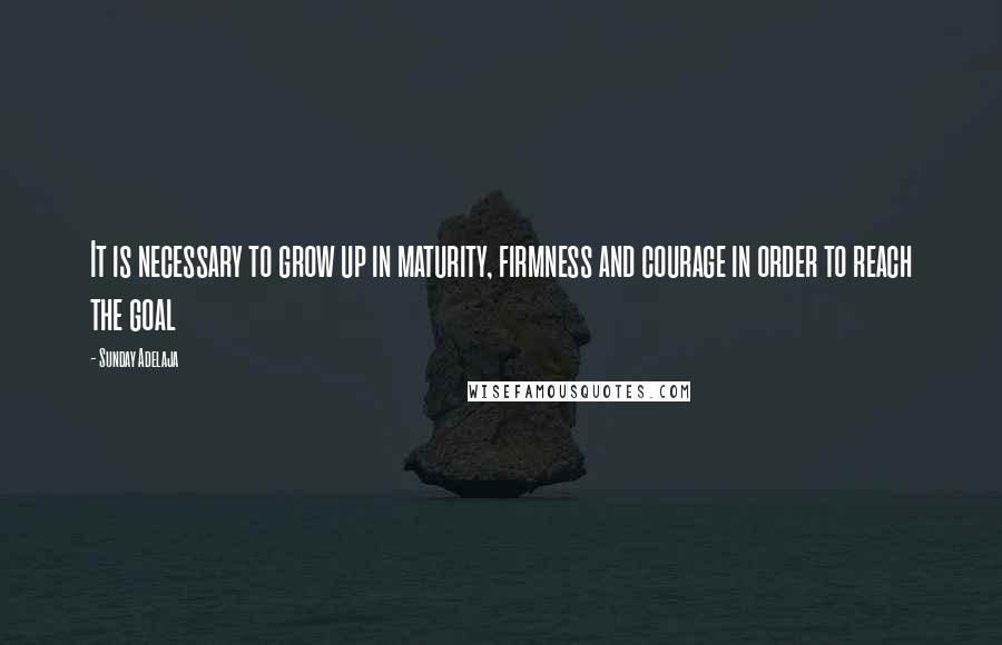 Sunday Adelaja Quotes: It is necessary to grow up in maturity, firmness and courage in order to reach the goal