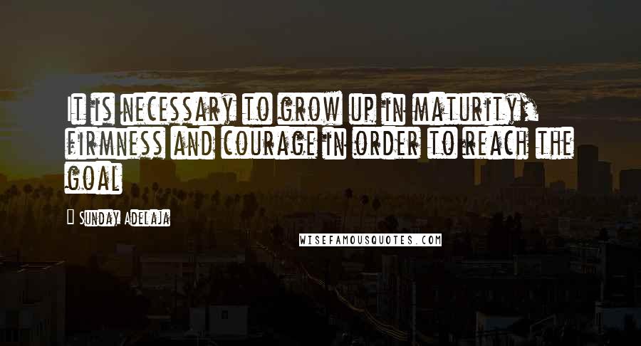 Sunday Adelaja Quotes: It is necessary to grow up in maturity, firmness and courage in order to reach the goal