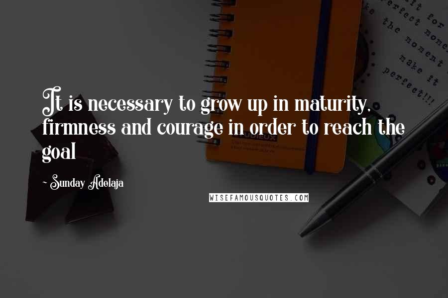 Sunday Adelaja Quotes: It is necessary to grow up in maturity, firmness and courage in order to reach the goal