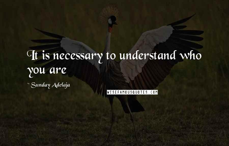Sunday Adelaja Quotes: It is necessary to understand who you are